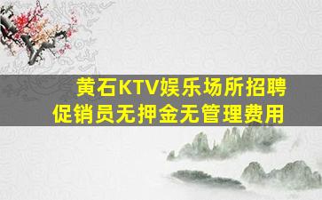 黄石KTV娱乐场所招聘促销员无押金无管理费用